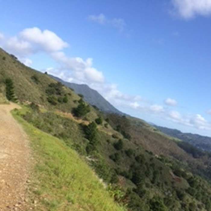Near Coyote Ridge Trail