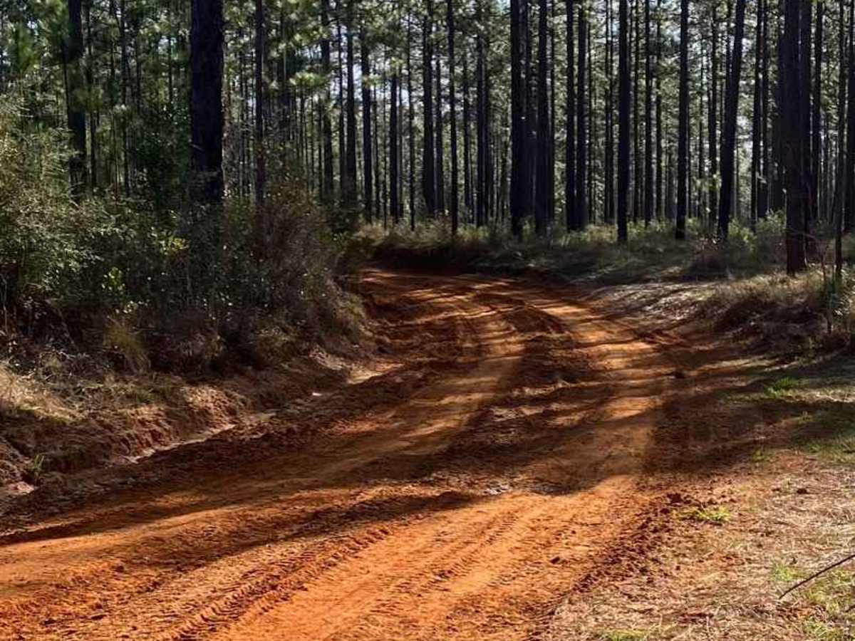 SR 114 photo 4