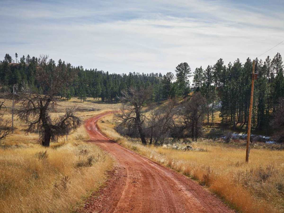 Lemonade Road Part 1 photo 2