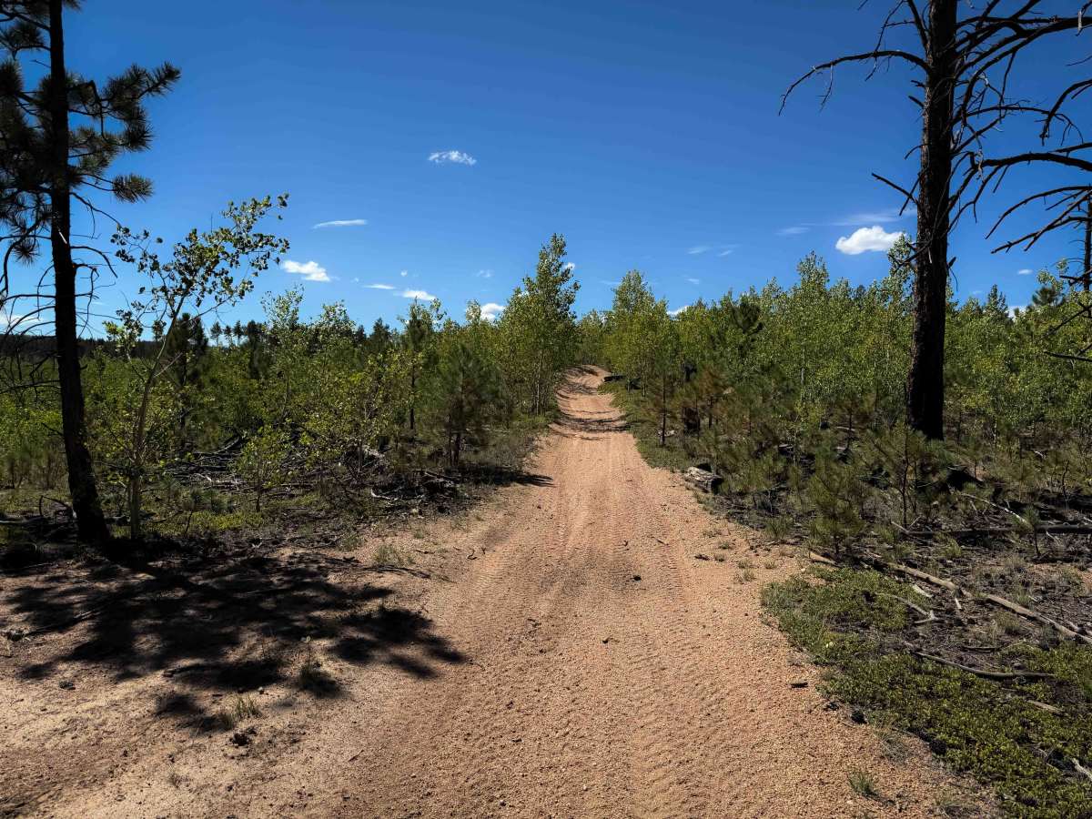 Wildhorn Spur 717E  photo 4