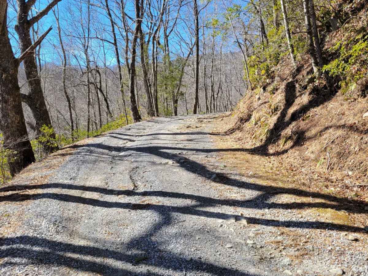 Cataloochee Turnpike to Big Creek photo 5