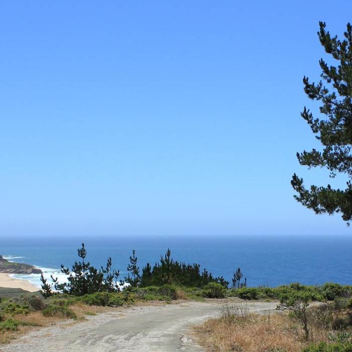 Near Old Pedro Mountain Road