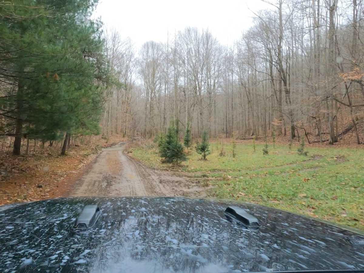 Pumpkin Hollow Rd photo 2