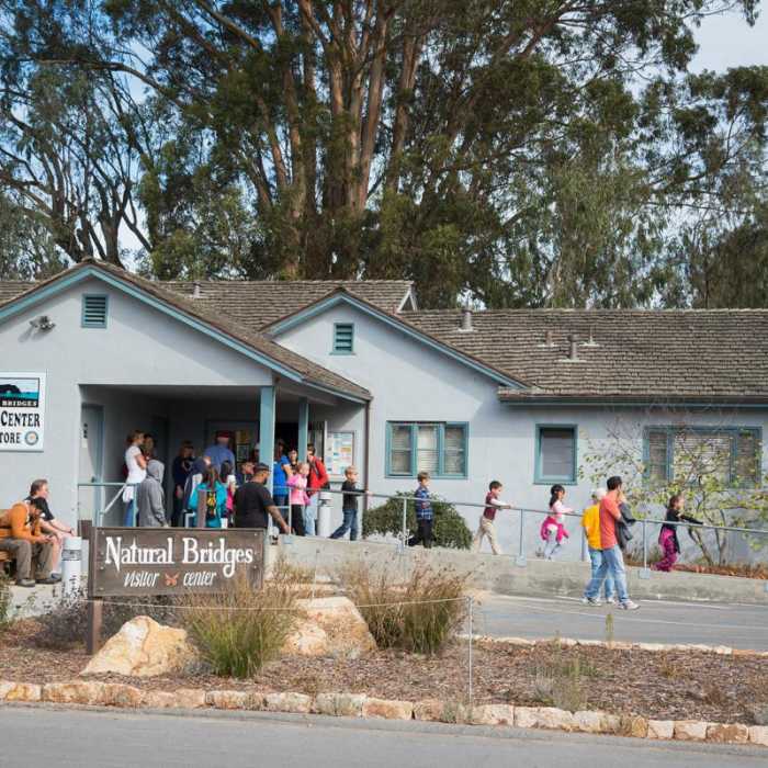 Near Monarch Trail Hike