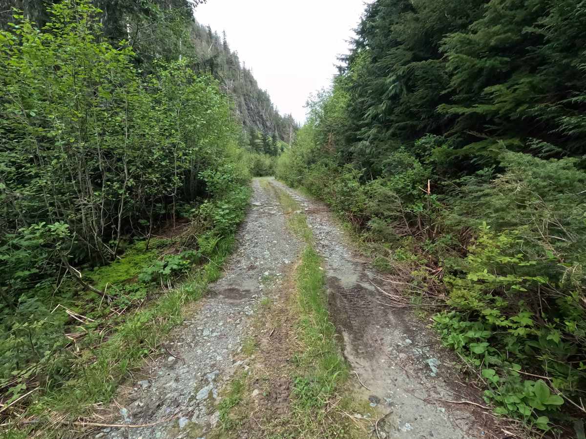 Hawkins Lake - FS 1840 photo 2