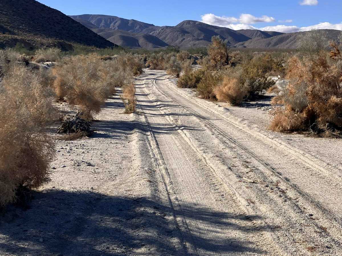 Pinyon Canyon photo 3