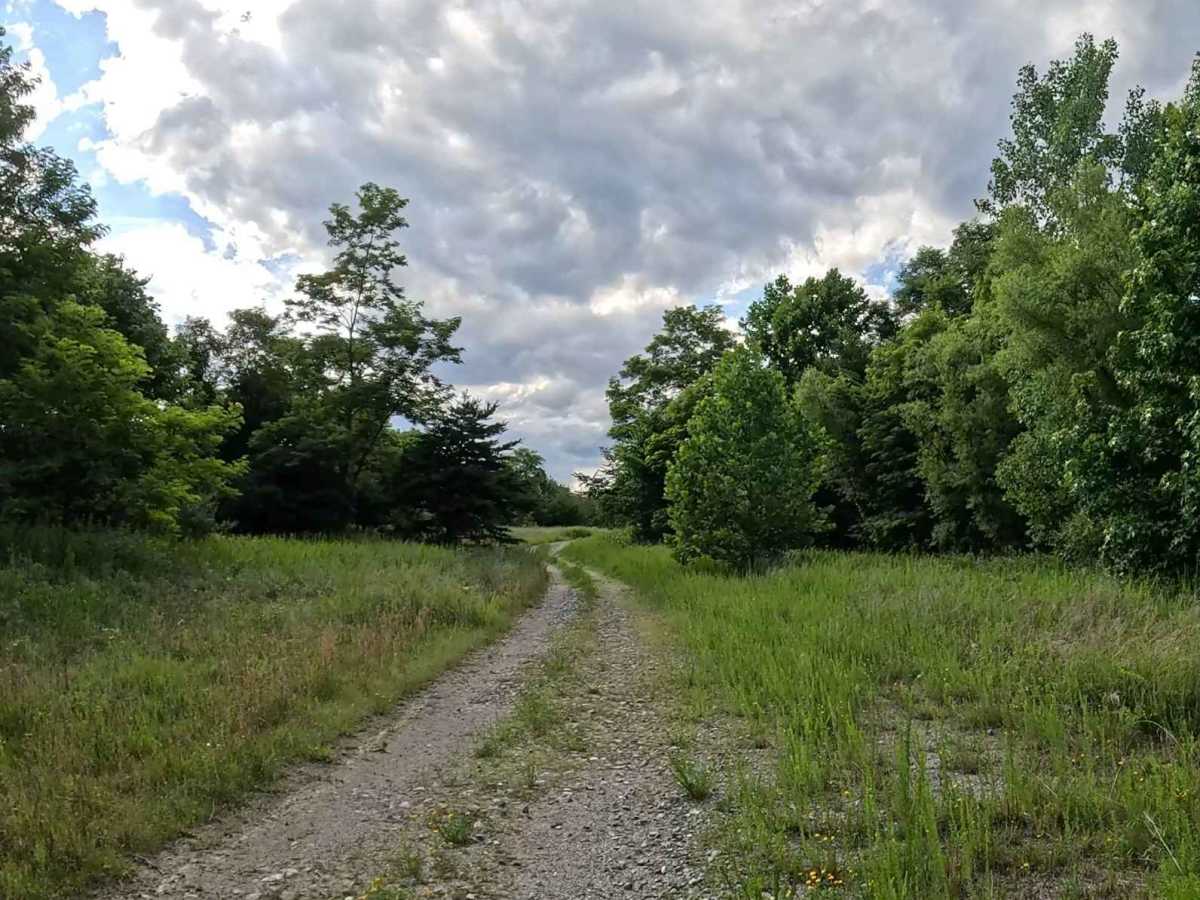 Q28 trail photo