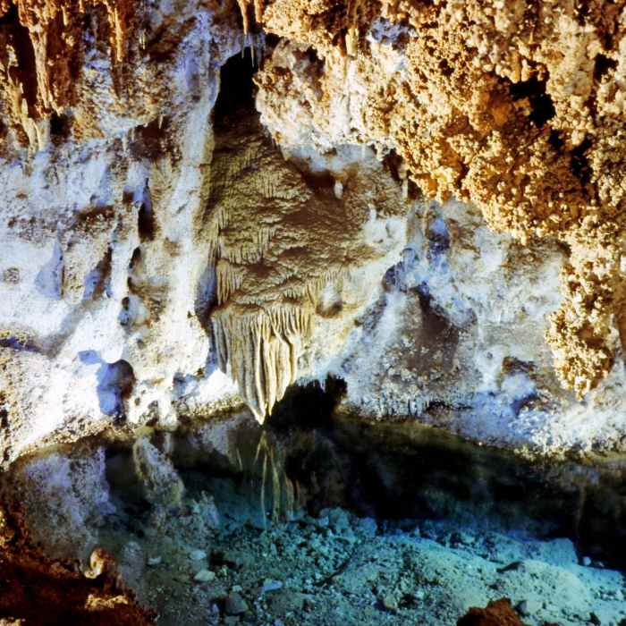 Carlsbad Caverns. Near Chihuahuan Desert Nature Trail