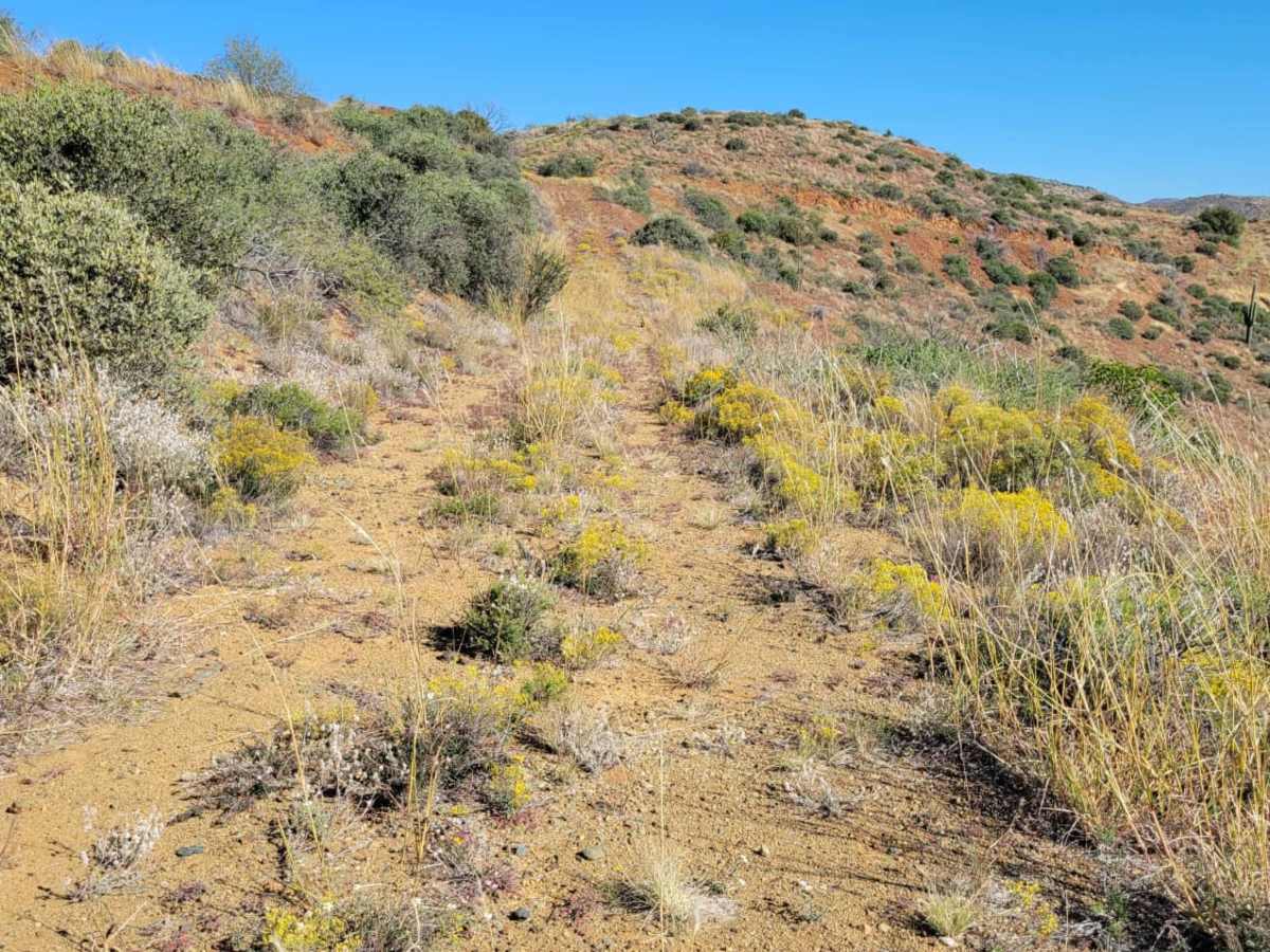 Cramm Mountain Loop photo 2