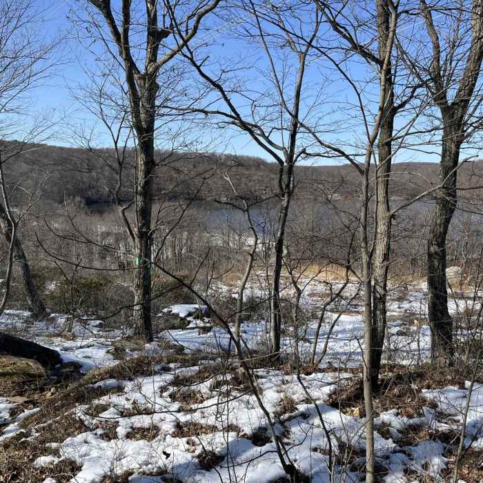 Near Righter Mine Loop Near Righter Mine Loop