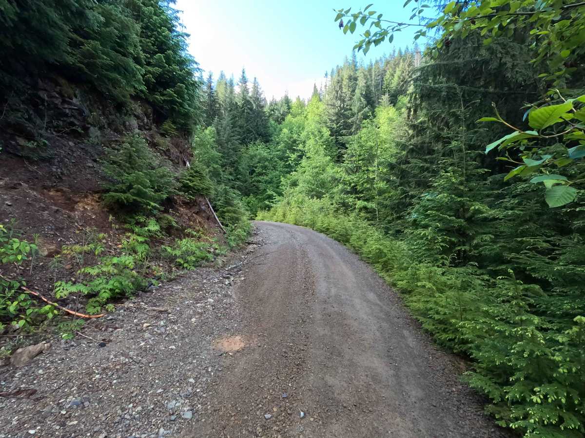 Blue Lake - FS 1230 photo 2