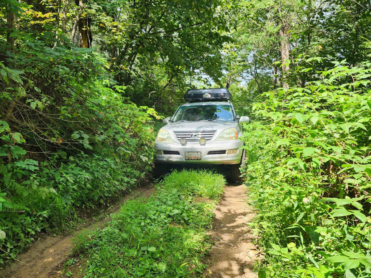 Feedstone Mountain photo 6