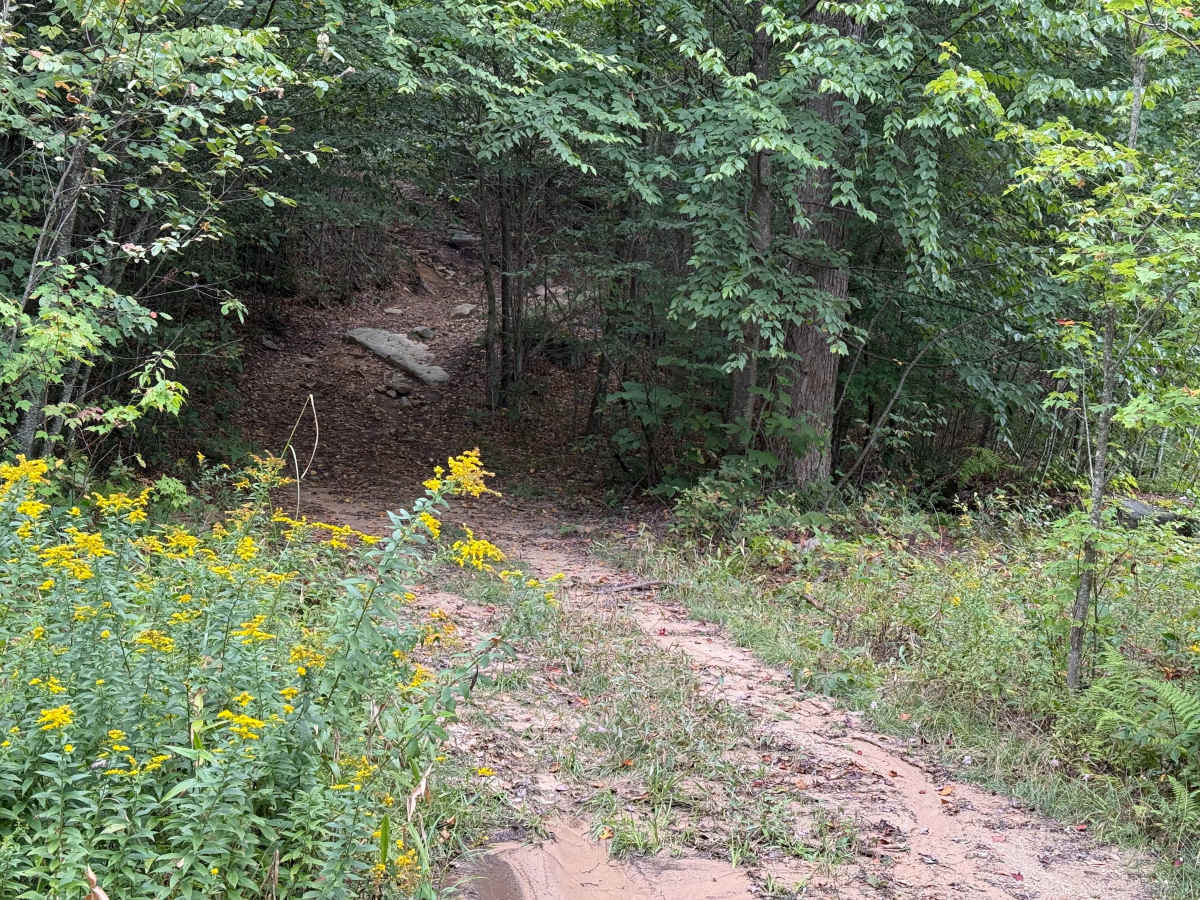 Whitey's Járngreipr trail photo