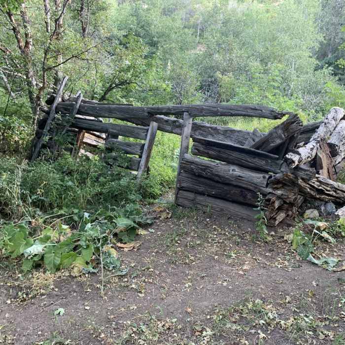 Cabin on the Kenny Creek Trail Near Kenny Creek Trail #1603
