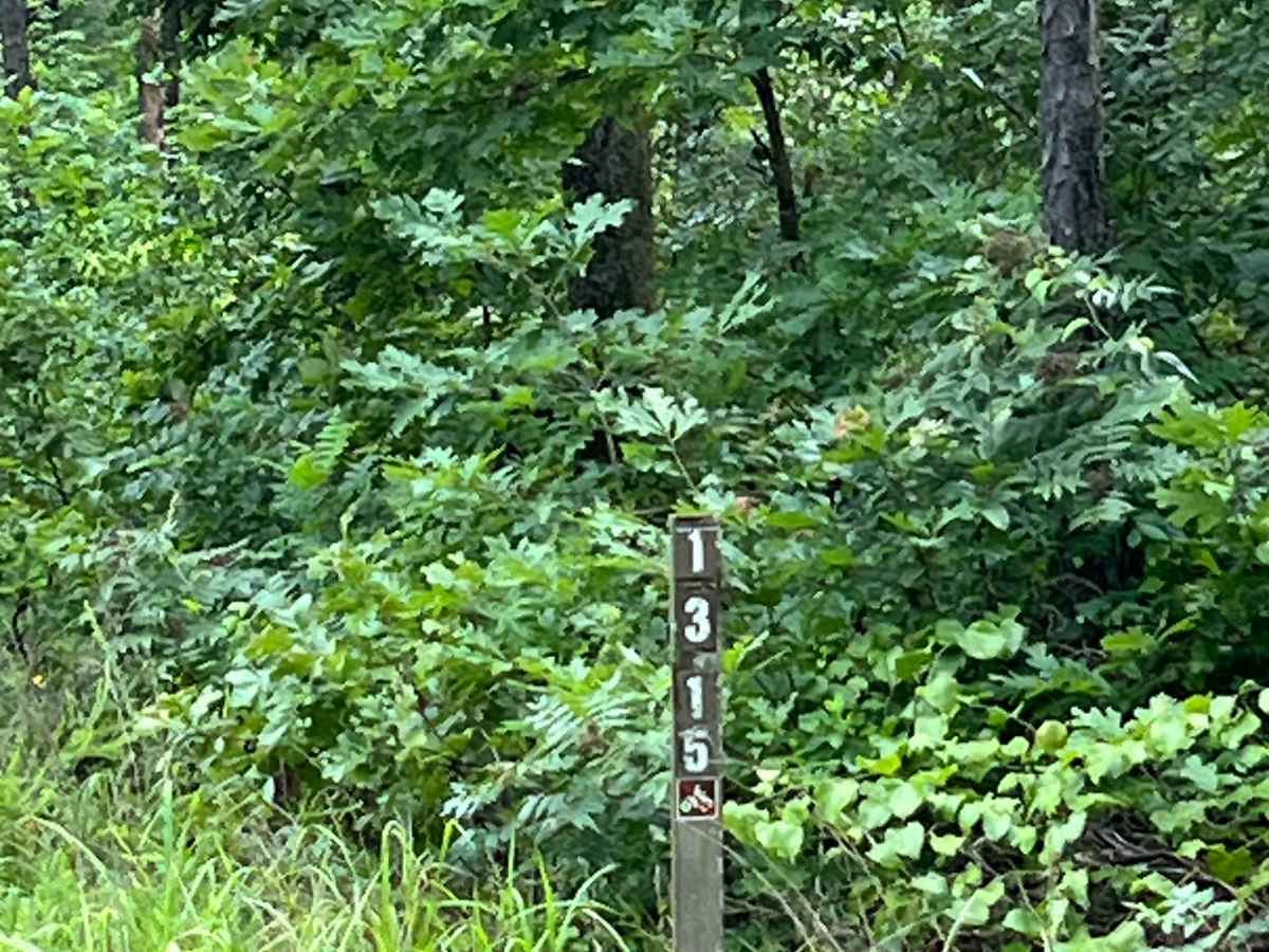 CATO Ridge trail photo