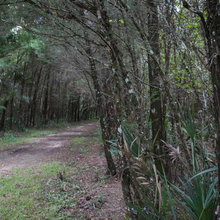 Near Crystal Cove Trail