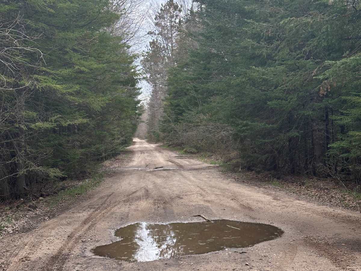 Deward Road Northeast photo 3