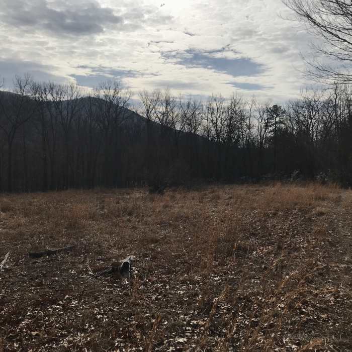 Near Laurel Run Circuit