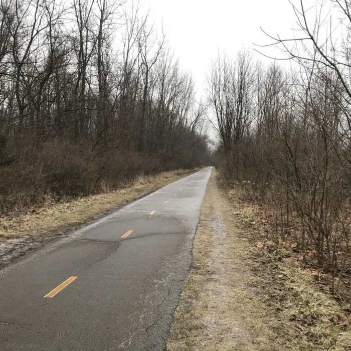 Looking south on Olentangy Trail near the Buckeye Swamp on a cold day. Near Olentangy Trail