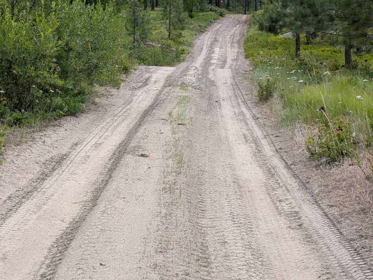 Golden Rule Road photo 5