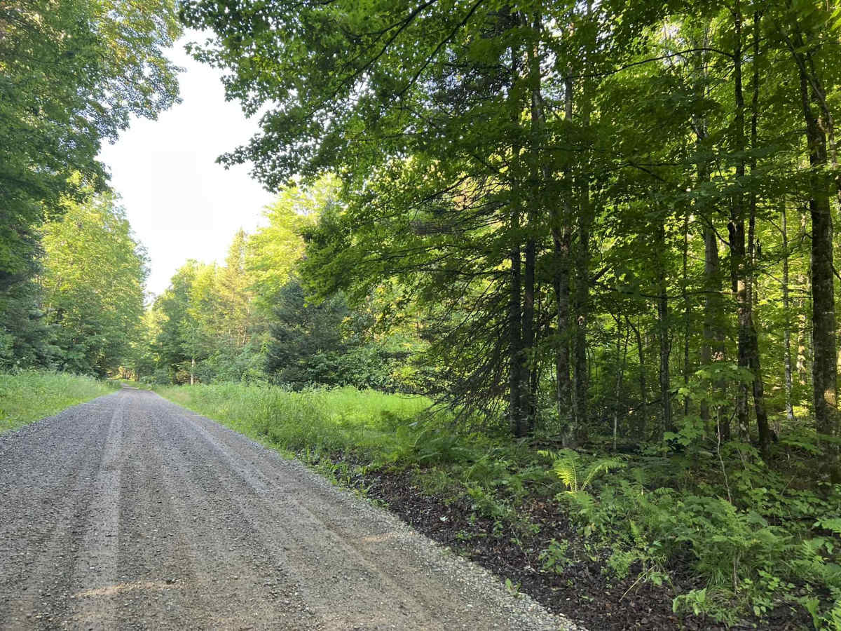  Lost Lake Road - FS 2158 photo 5