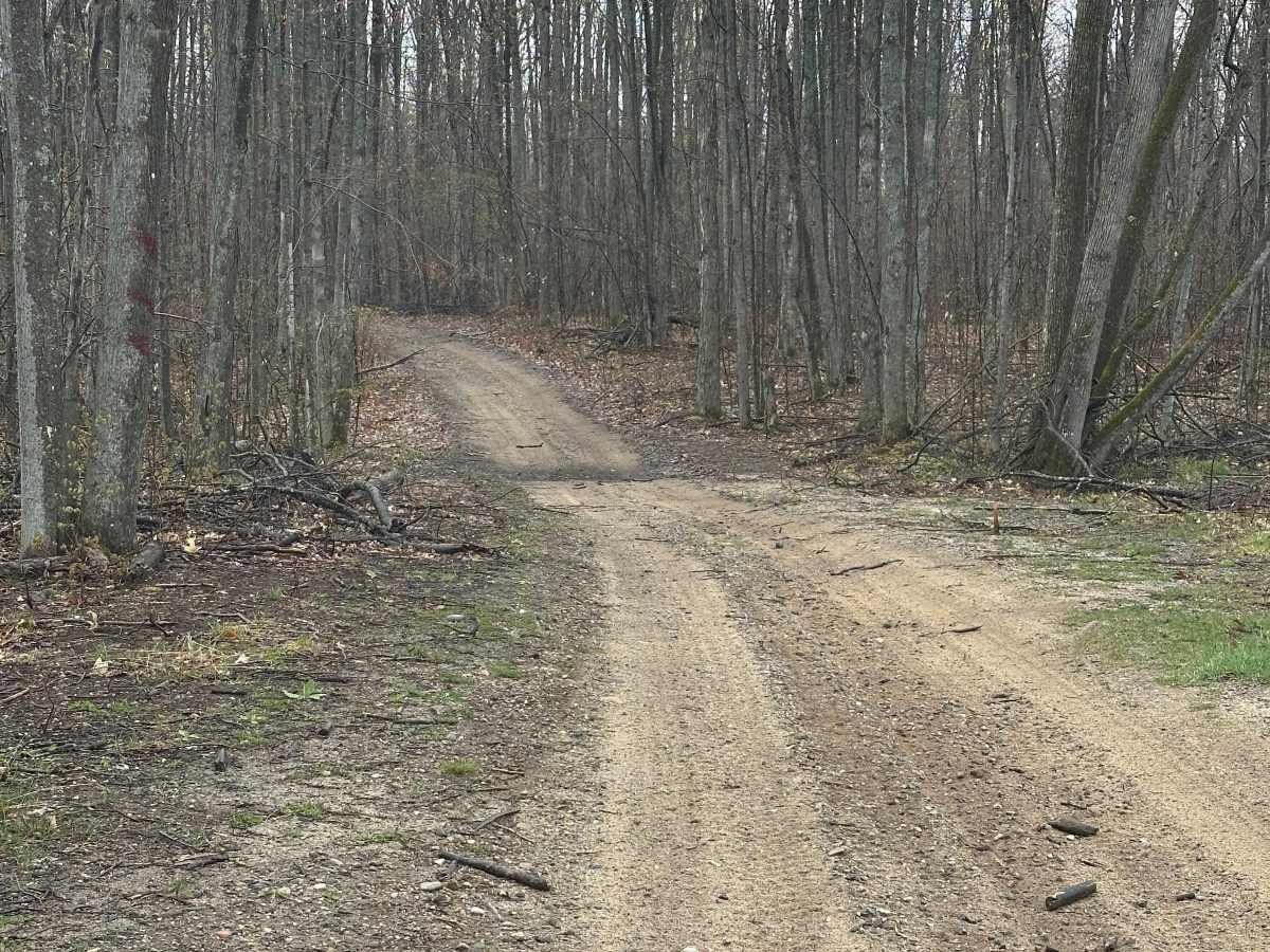 Hayesego Trail photo 6