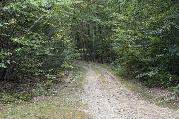 Marsh Ridge Road