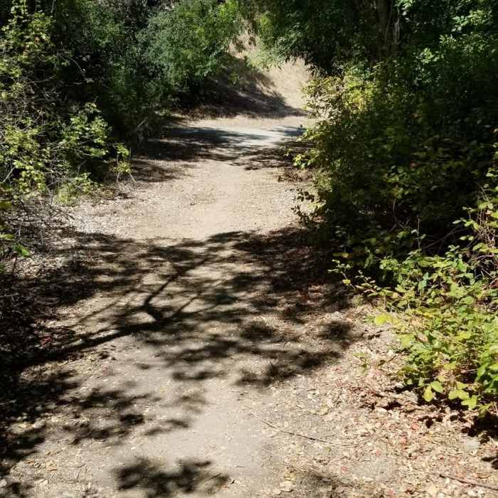 Trailhead near Grand Avenue Near Schabarum-Skyline Trail - Section I
