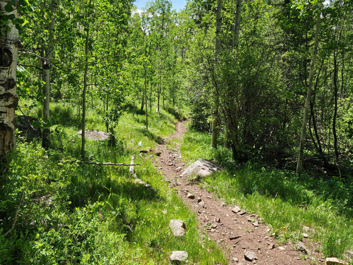 McIntyre Gulch Trail photo 3