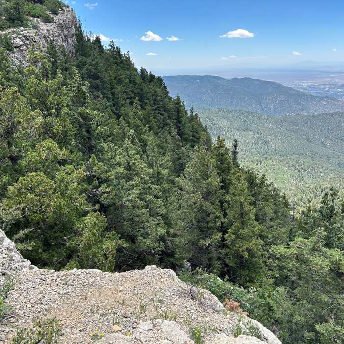 Near Tree Spring Trail #147