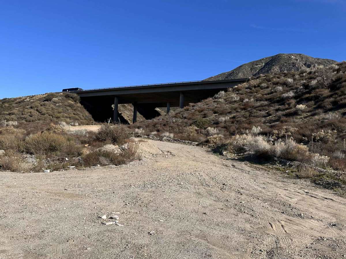 Cleghorn Technical Access Road trail photo