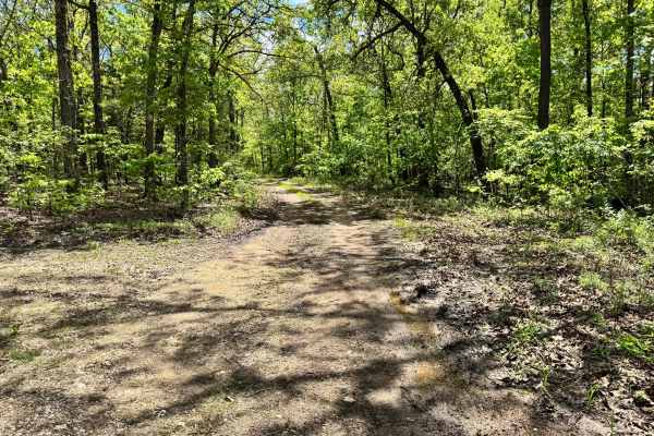 Cave Springs Spur A