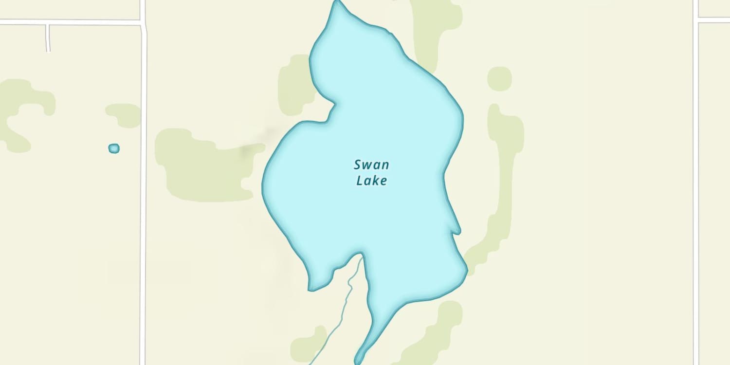 Swan Lake