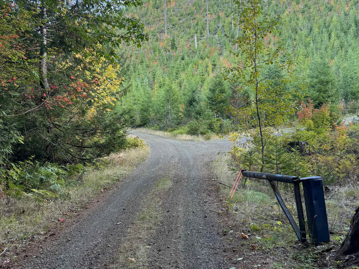 Lake Cushman View Trail photo 2