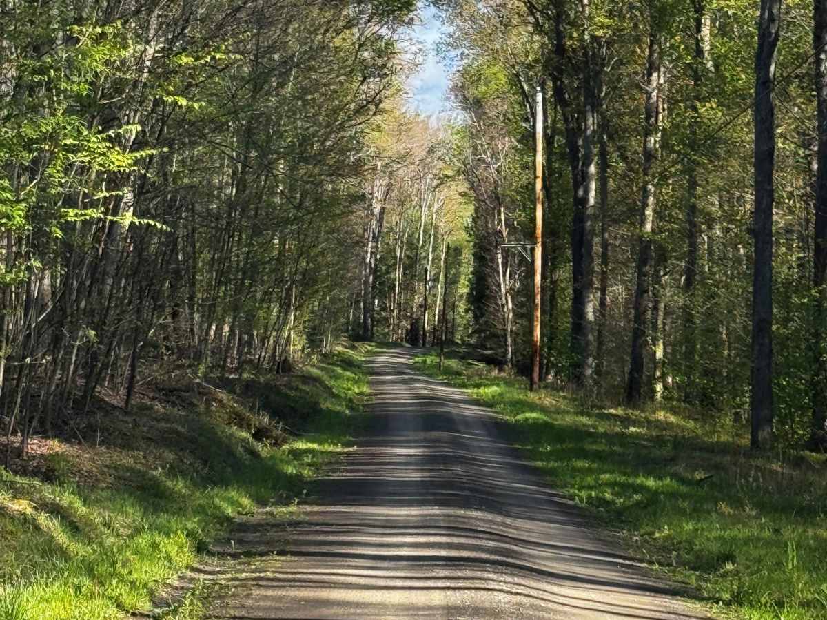 Woodward Dam Road photo 2