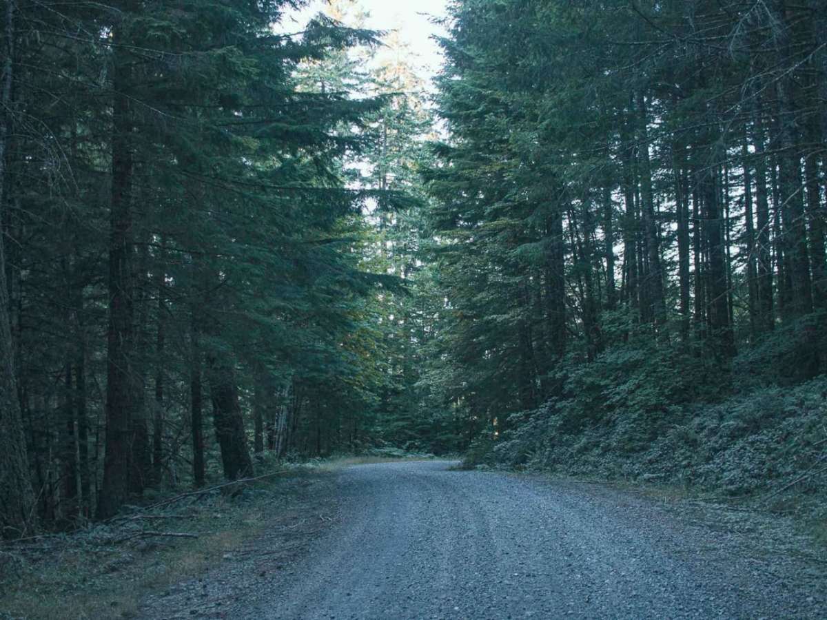 Patterson Mountain photo 5
