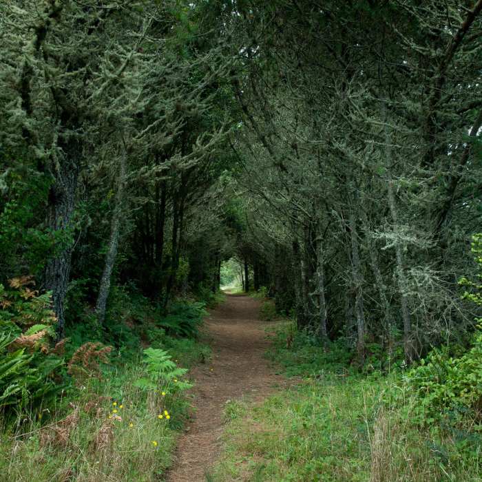 Near Inverness Ridge