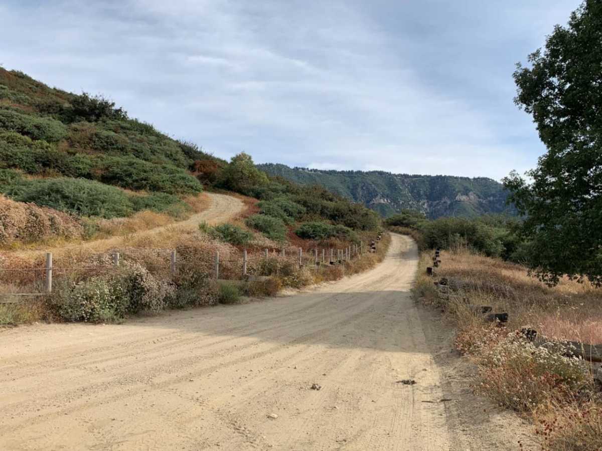 2N40 Cloudland Truck Trail photo 2