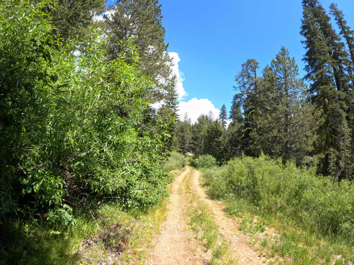 Church Creek - FS 28 trail photo