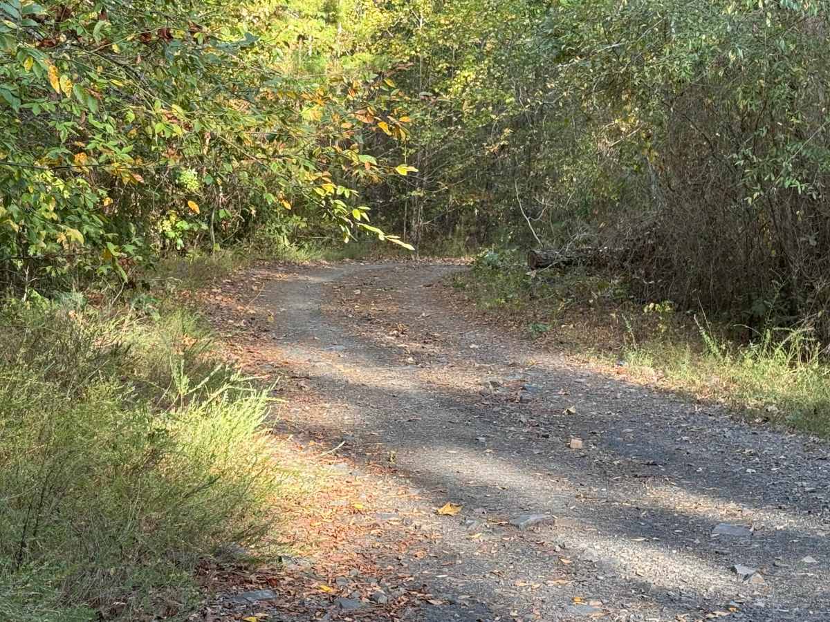 Note trail photo