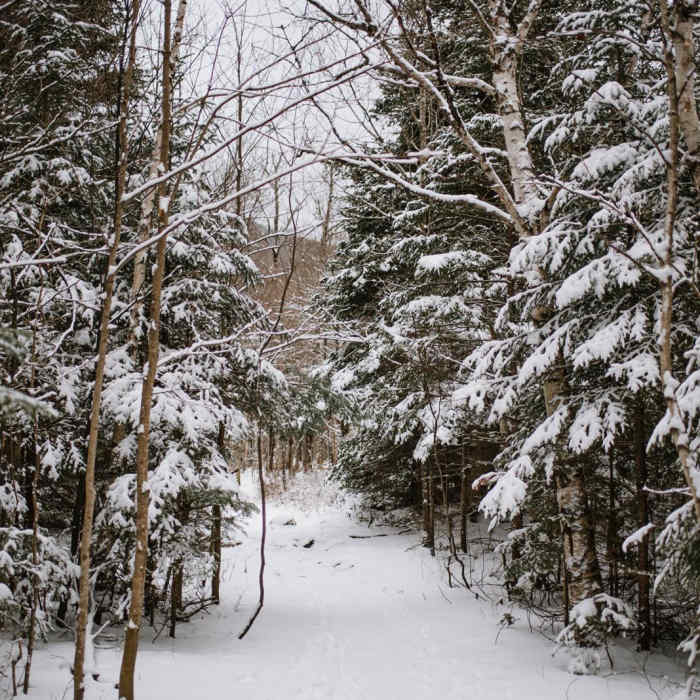 Near Mount Willard: Winter Hike Near Mount Willard: Winter Hike