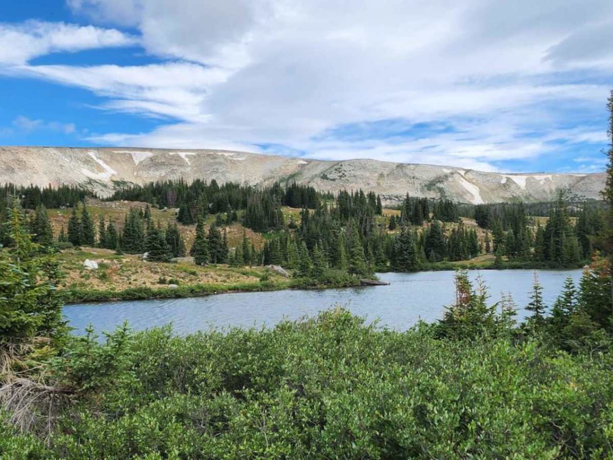 Towner Lake photo 4
