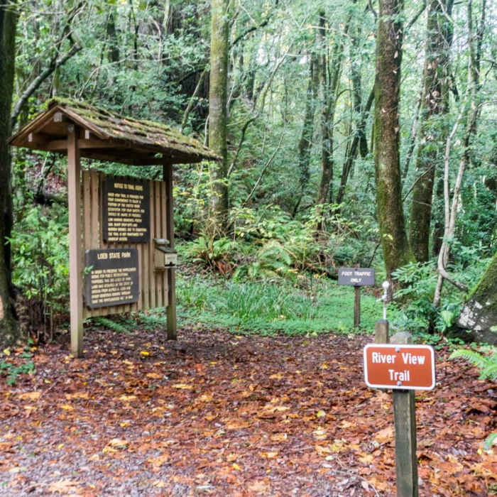 Near Riverview Trail