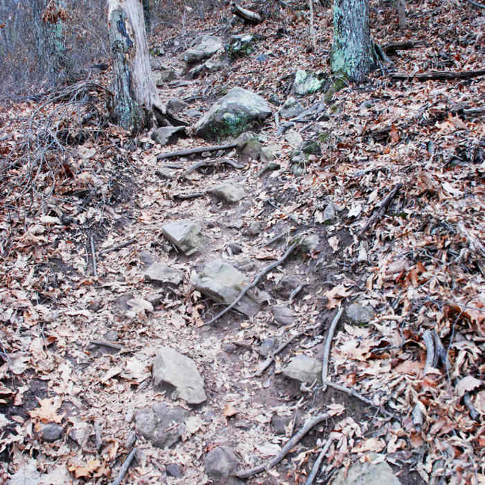 Near George Disney Trail