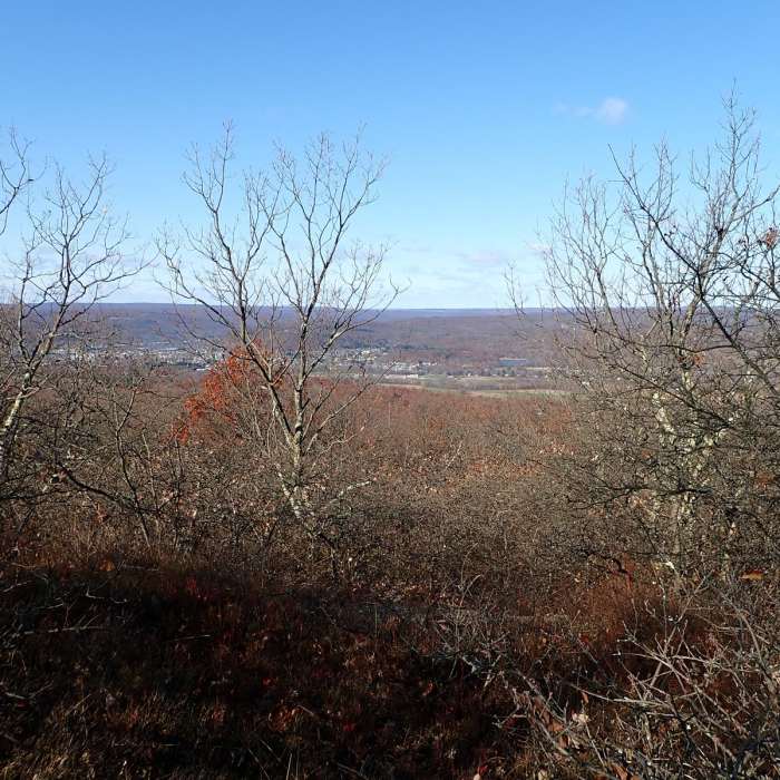 Near Shawangunk Ridge Trail: Huckleberry Ridge Section Near Shawangunk Ridge Trail: Huckleberry Ridge Section
