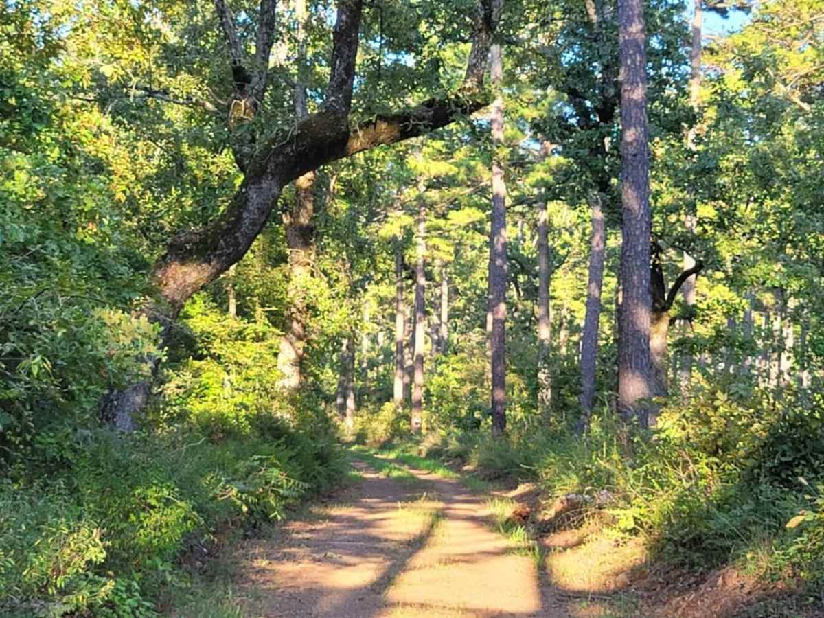 Dutch Mountain trail photo