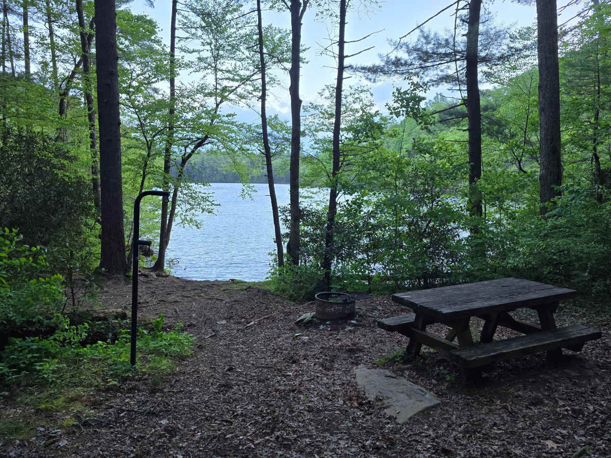 Long Hungry Branch photo 3