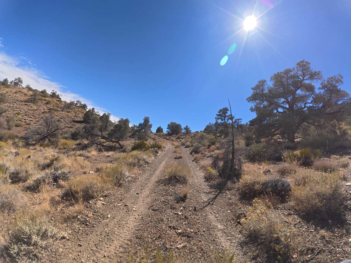 FS 35E302 trail photo