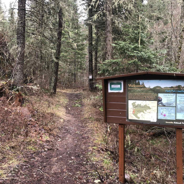 Near Buck Creek Trail #3073