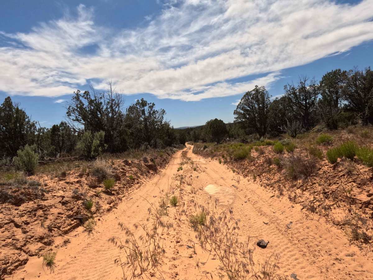 BLM 1013B photo 6